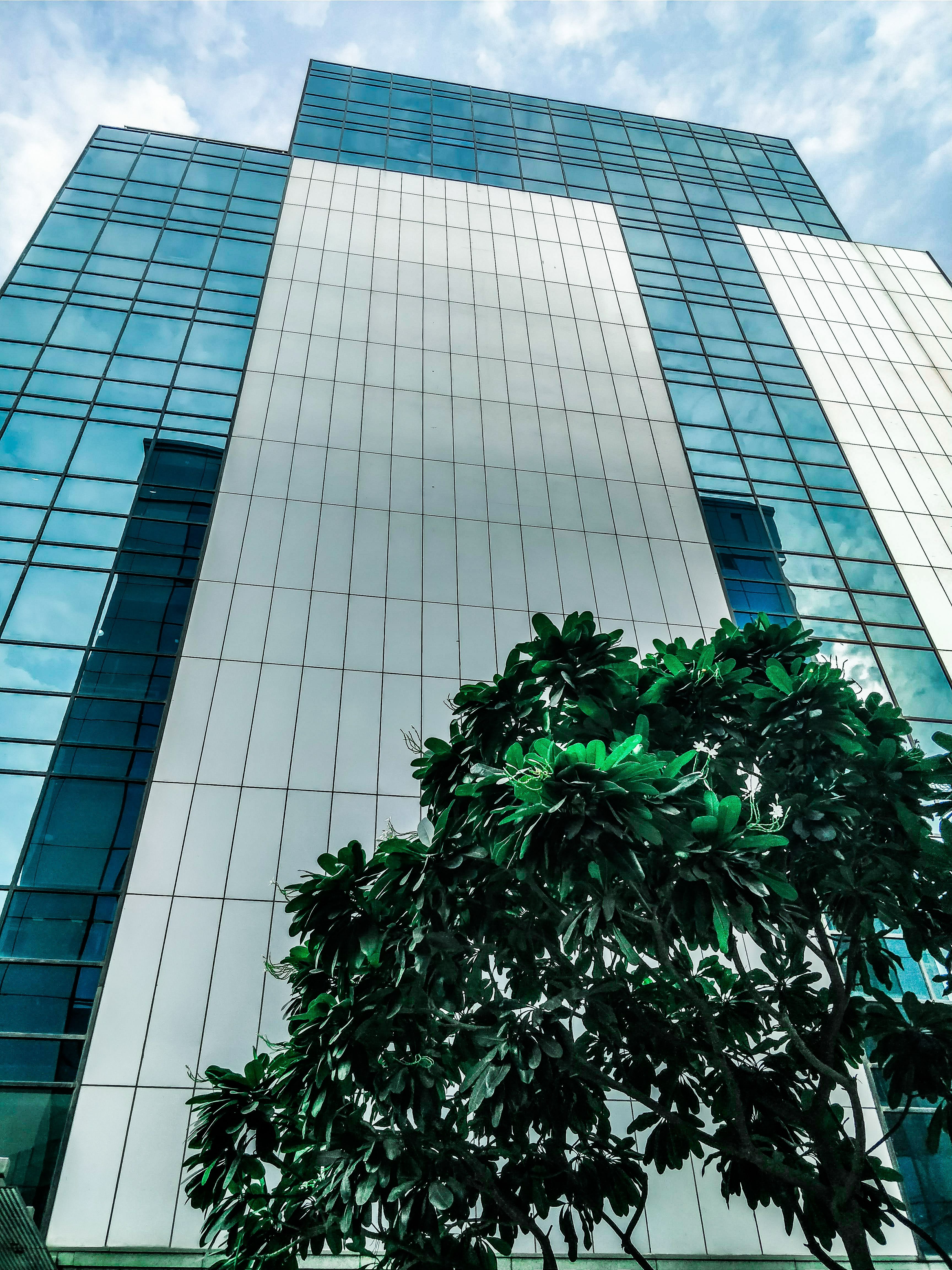 IT Consulting Services